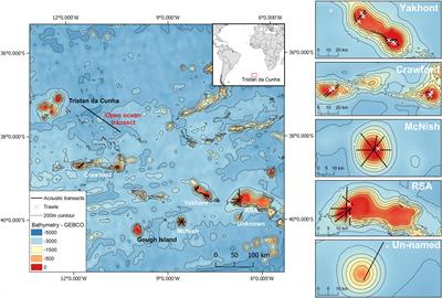 First Insight of Meso- and Bentho-Pelagic Fish Dynamics Around Remote Seamounts in the South Atlantic Ocean